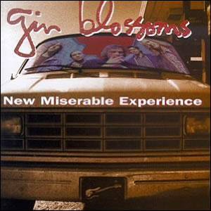New Miserable Experience by Gin Blossoms