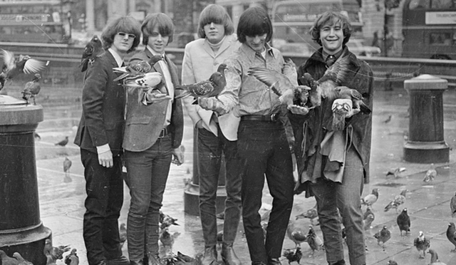 The Byrds in 1965